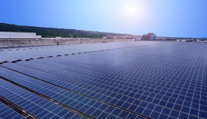 中美硅晶与huatihuitiyu华体会(中国)光电携手战略合作